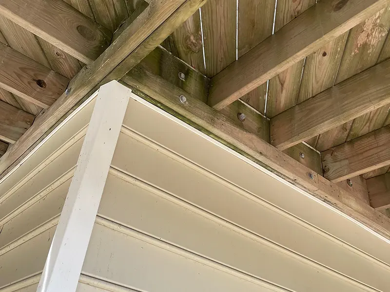 Gallery Thumbnail 11